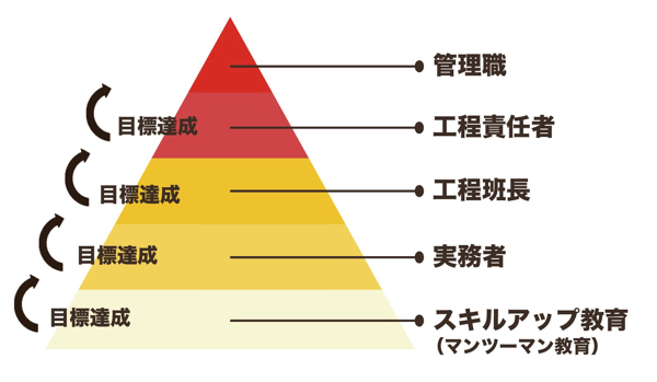 沖縄製粉で働く社員のキャリアステップ